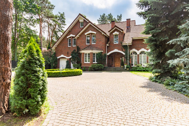 Best Driveway Paving Contractor  in North Alamo, TX