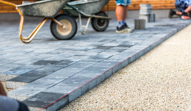 Best Commercial Driveway Pavers  in North Alamo, TX