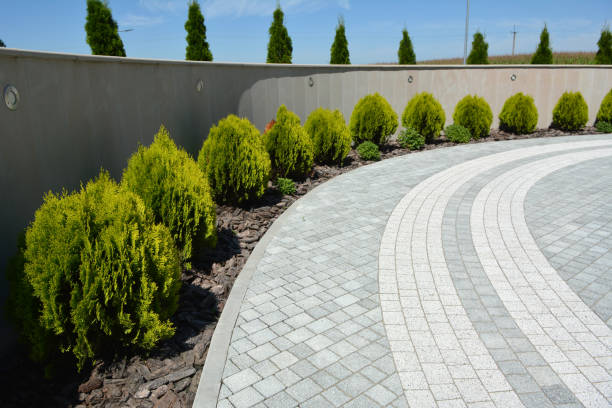 Best Affordable Driveway Paving  in North Alamo, TX