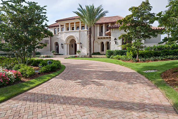 Best Local Driveway Pavers  in North Alamo, TX
