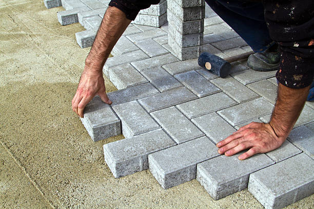 Best Driveway Pavers Near Me  in North Alamo, TX