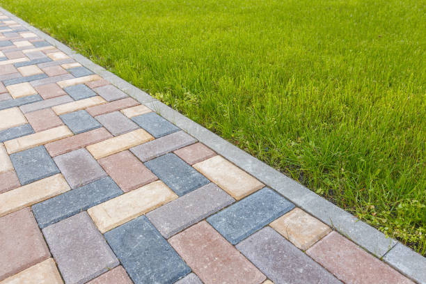 Best Custom Driveway Pavers  in North Alamo, TX